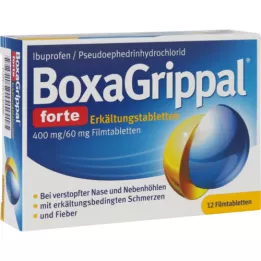 BOXAGRIPPAL forte Cold Tab. 400 mg/60 mg FTA, 12 tk