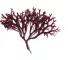 Instructions for use for Phytodefrisant Anti-Frizz Retouch hooldusgeel, 50 ml - 4