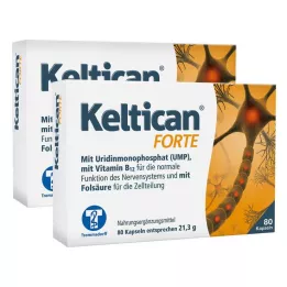KELTICAN forte kapslid, 2X80 St