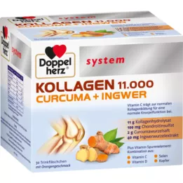 DOPPELHERZ Kollageen 11,000 Curcuma+Ingw.system TRA, 30X25 ml