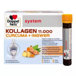 DOPPELHERZ Kollageen 11,000 Curcuma+Ingw.system TRA, 30X25 ml