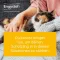 Engystol® ad us.vet.tabletid, 100 tk