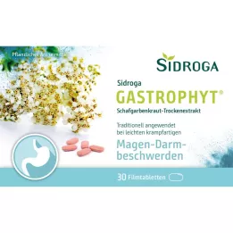 SIDROGA GastroPhyt 250 mg õhukese polümeerikattega tabletid, 30 tk