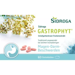 SIDROGA GastroPhyt 250 mg õhukese polümeerikattega tabletid, 60 tk