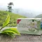 H&amp;S Organic Green Tea Darjeeling filtrikotist, 20X2 g