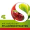 Dobensana Herbal Kirschgeschm.vit.c &amp; Tsinkpastil.(36 tükki)