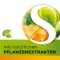 Dobensana Herbal Honey Vitamiinid C &amp; Tsinkpastil.(36 tükki)