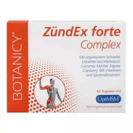 ZÜNDEX forte Complex koos OptiMSM kapslitega, 60 kapslit