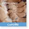 CAPSTAR 57 mg tabletid suurtele koertele, 1 tk