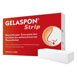 GELASPON ribad 1x1x4 cm želatiinist käsn, 4 tk