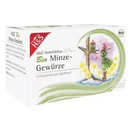 H&amp;S Winter Tea Organic Mint Spices Filter Bag, 20X2.0 g