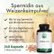 Green Naturals Spermidine 1,6 mg vegan kapslid, 240 tk