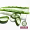 Plantana Aloe Vera hooldav dušivann orgaanilise aloe veraga, 500 ml