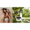 Plantana Olive kehakreem E-vitamiiniga, 500 ml