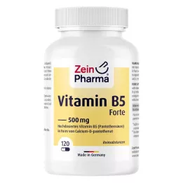 VITAMIN B5 PANTOTHENSÄURE 500 mg kapslid, 120 tk