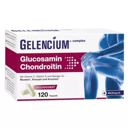 GELENCIUM Glükoosamiin-kondroitiin suure annusega Vit C Kps, 120 tk