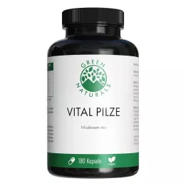 GREEN NATURALS Vital Mushrooms Cordyceps Reishi vegan, 180 tk